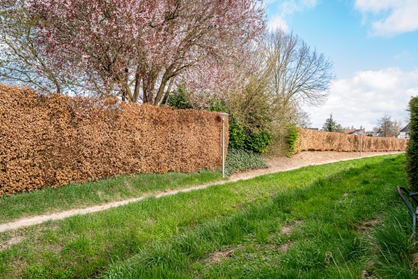 Medium property photo - Commendereijstraat 5, 6923 AX Groessen